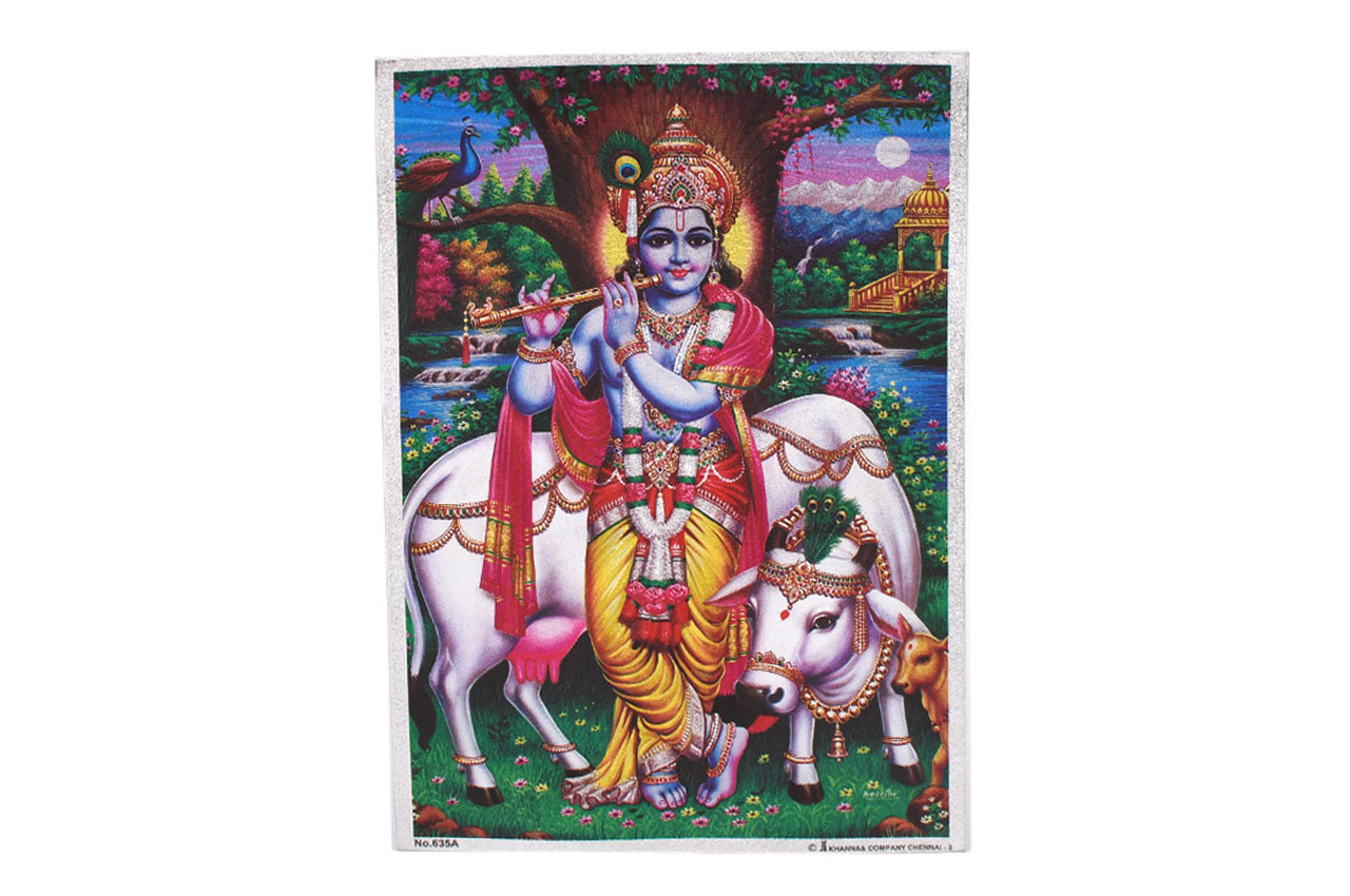 Lord Shri Krishna Photo - Medium